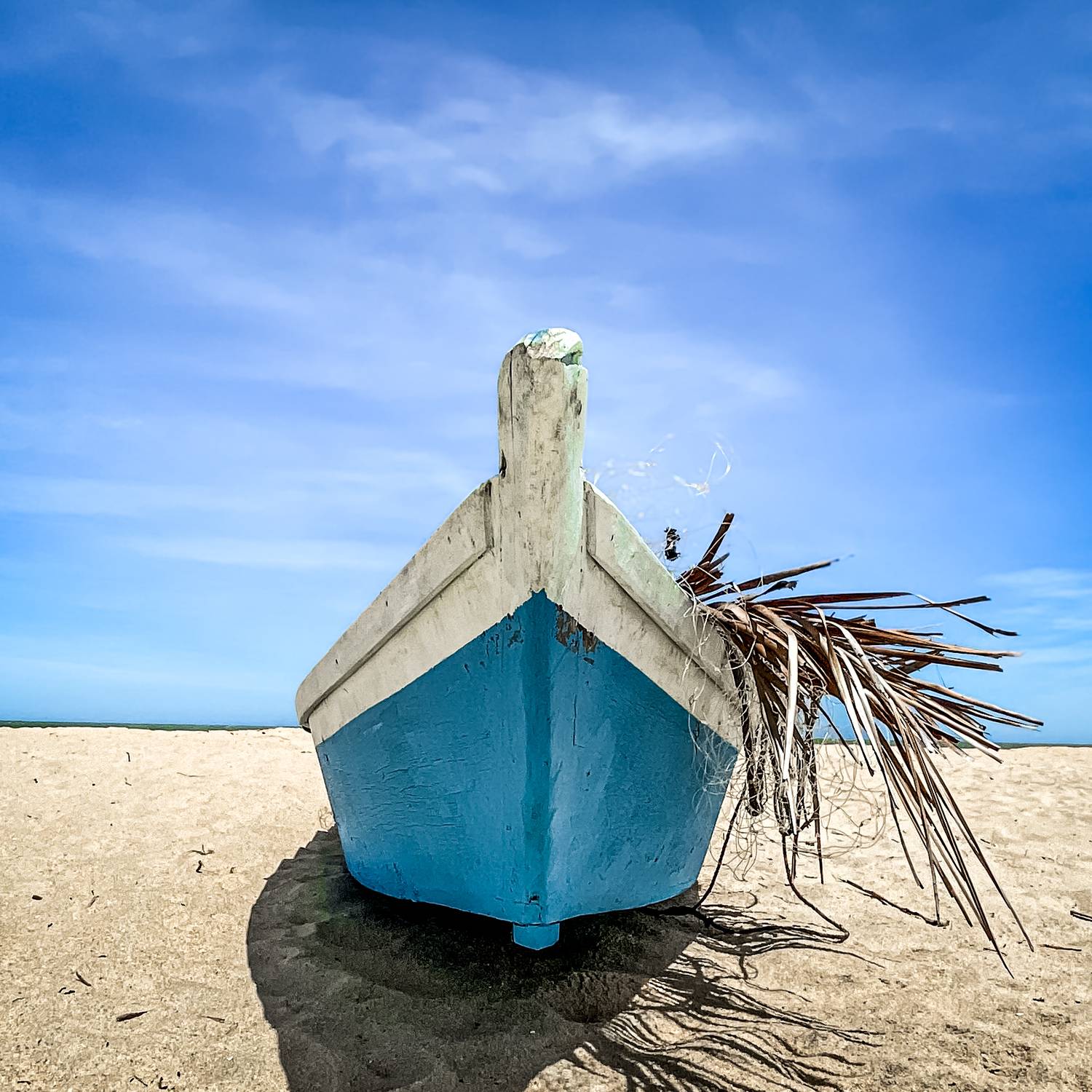 The Shoreline Sentinel