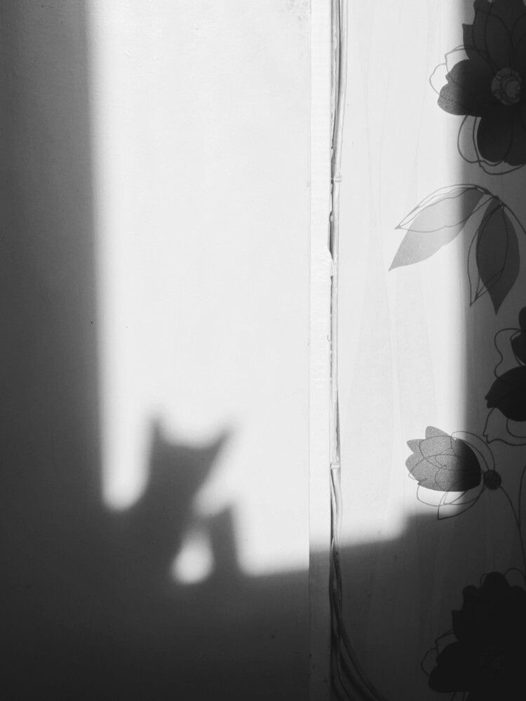 Photograph by Ксения Шилина