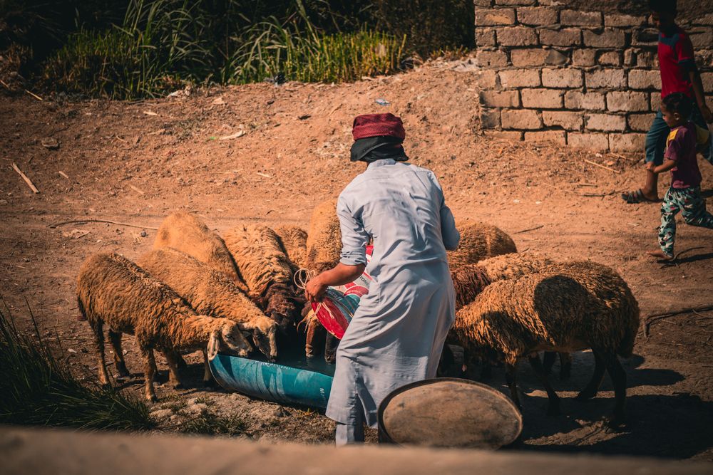 Photograph by Sarrah Yehia