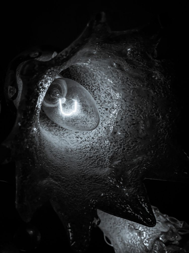 Photograph by Елизавета Станкевич