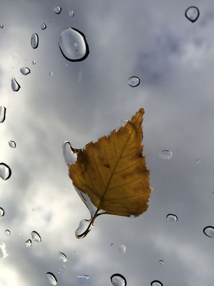 Photograph by Елизавета Станкевич