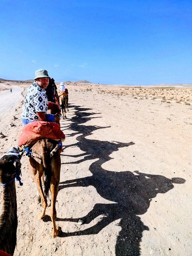 Photograph by Ian Heard