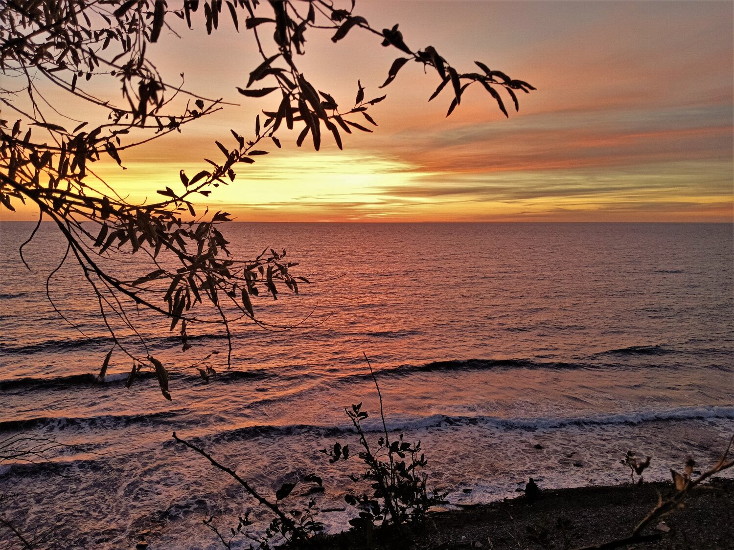 Photo #13464194