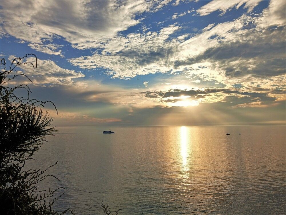 Photograph by Елена Пестова