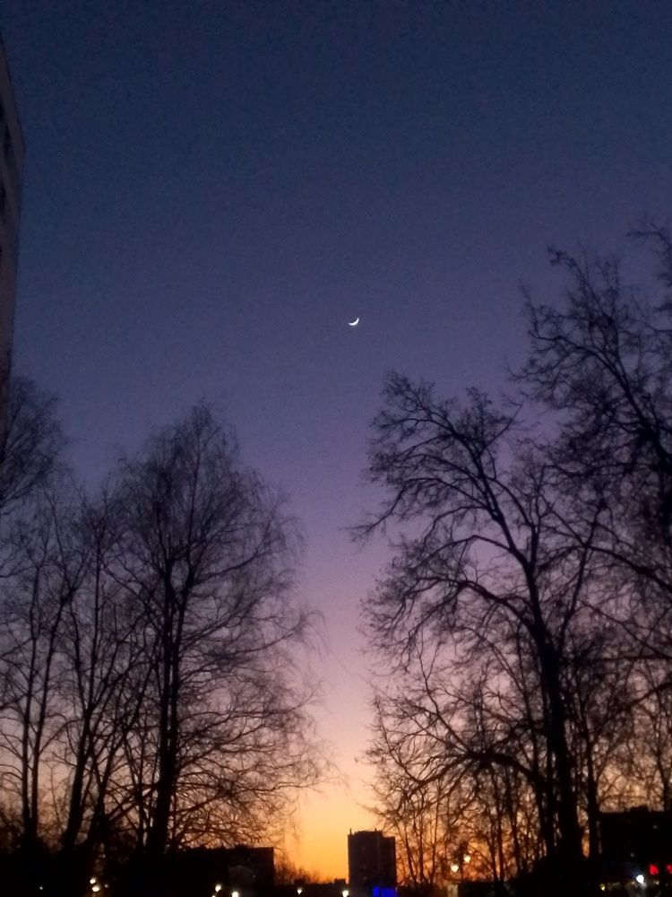 Photograph by Юлия Громушкина