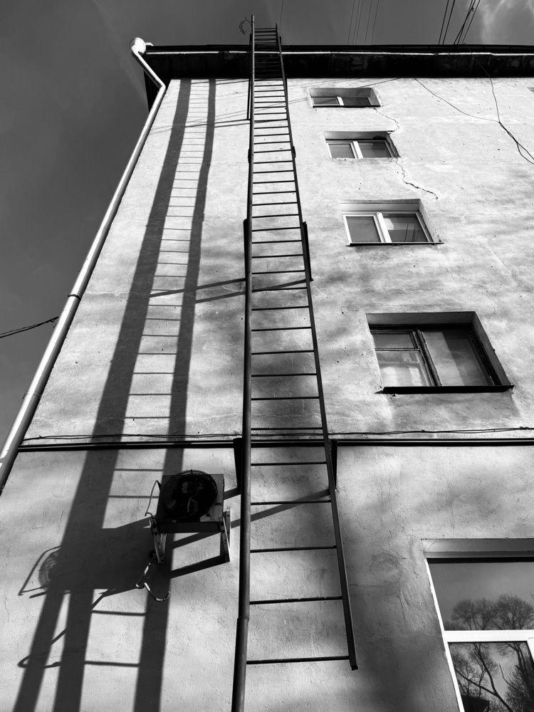 Photograph by Ульяна Красикова