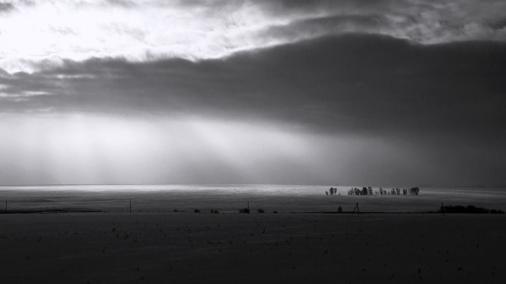Photograph by Ляйсан Мубаракова