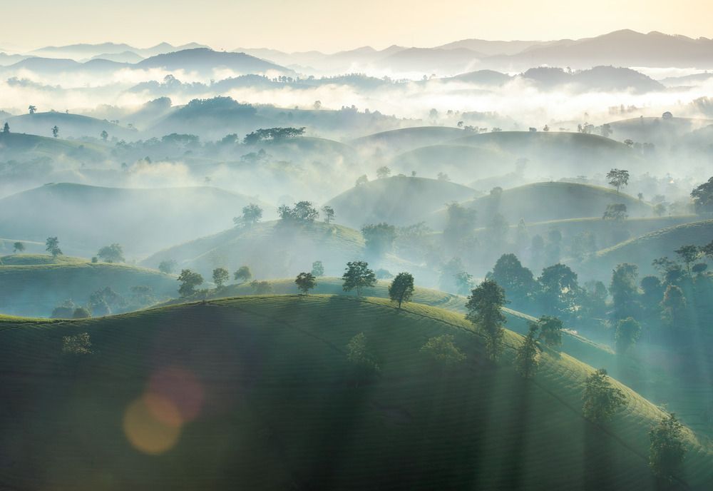 Photograph by Trần Linh