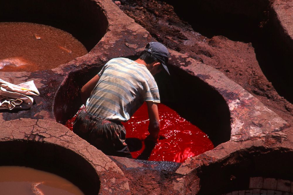 Photograph by Paolo Mola