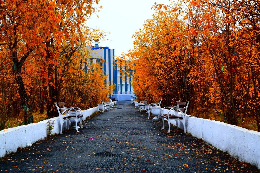 Photograph by Сергей Подлевский