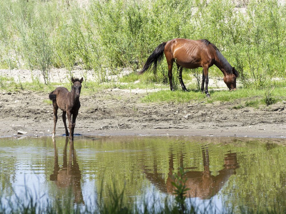 Photograph by Альберт Куулар