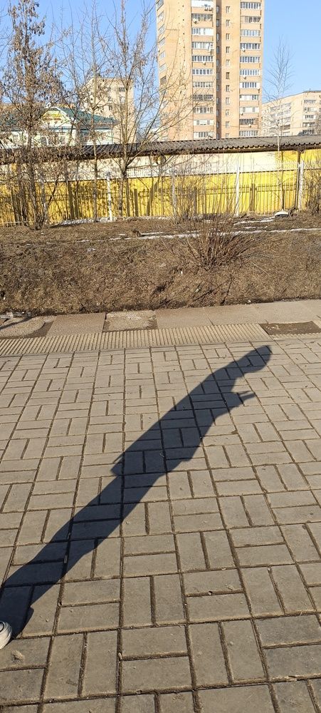 Фотография автора Татьяна Алексеева