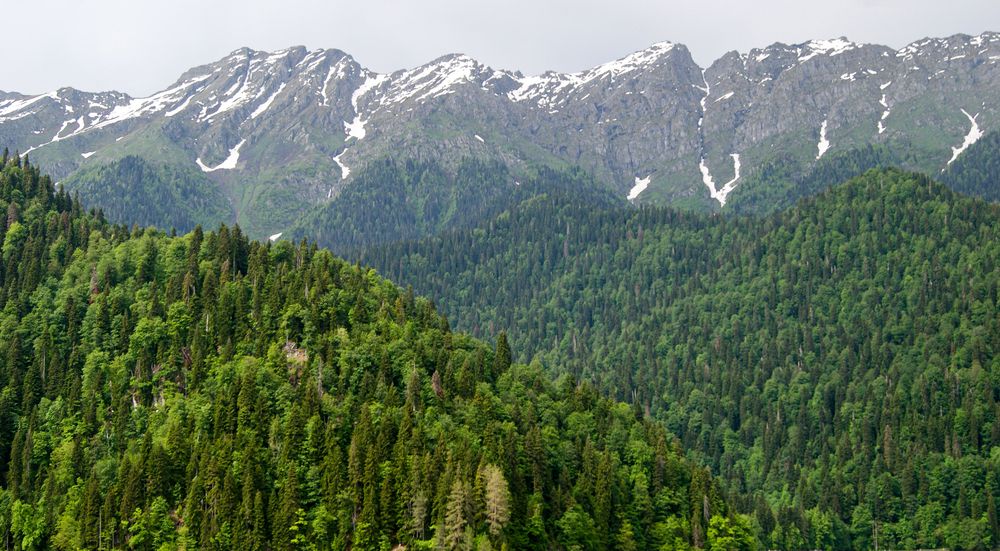 Photograph by Ирина Борисова