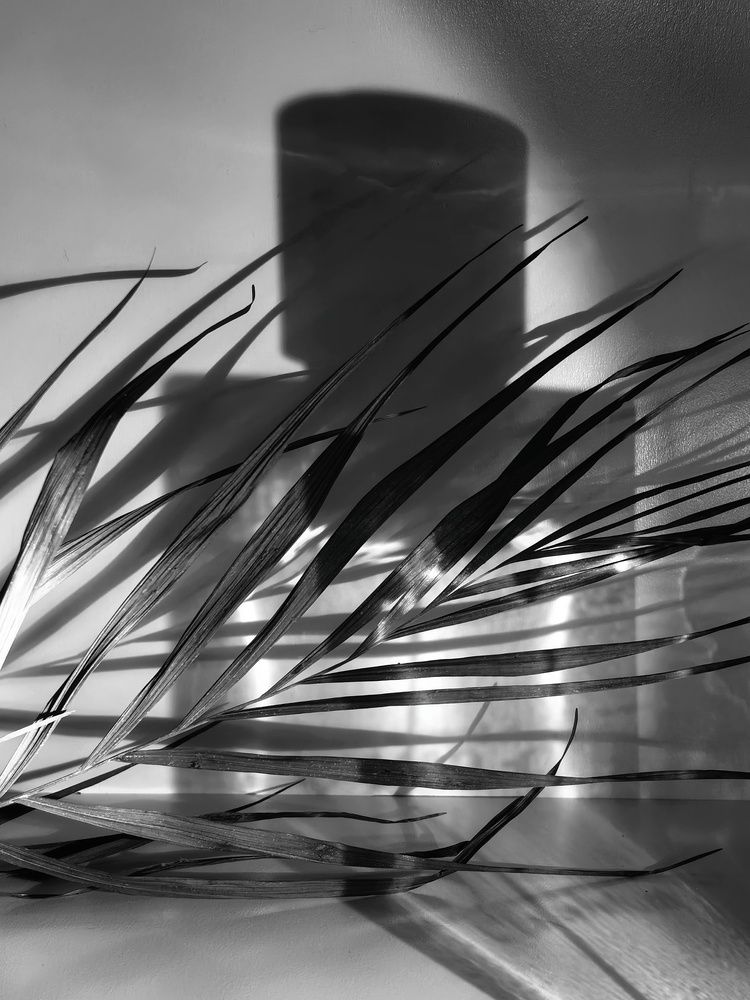 Photograph by Юлия Жереченко