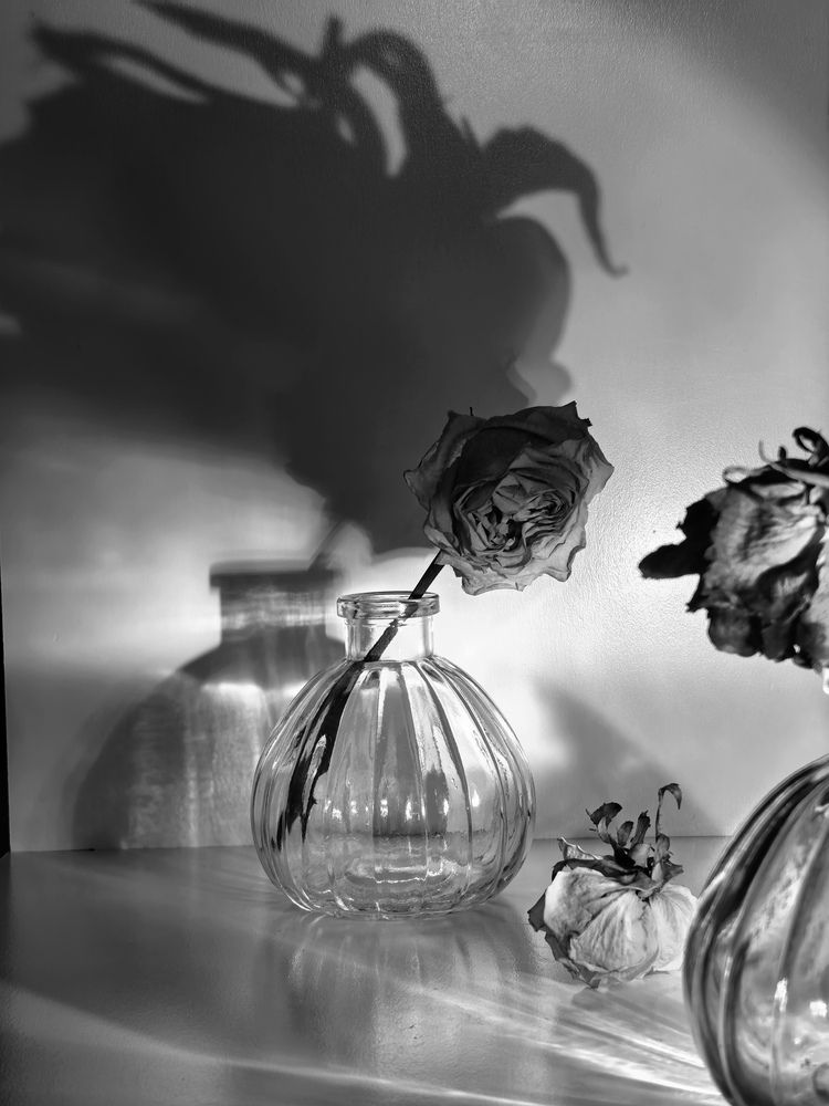 Photograph by Юлия Жереченко