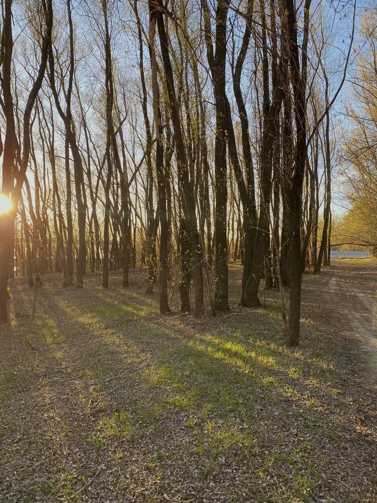 Photograph by Алиса Лукина