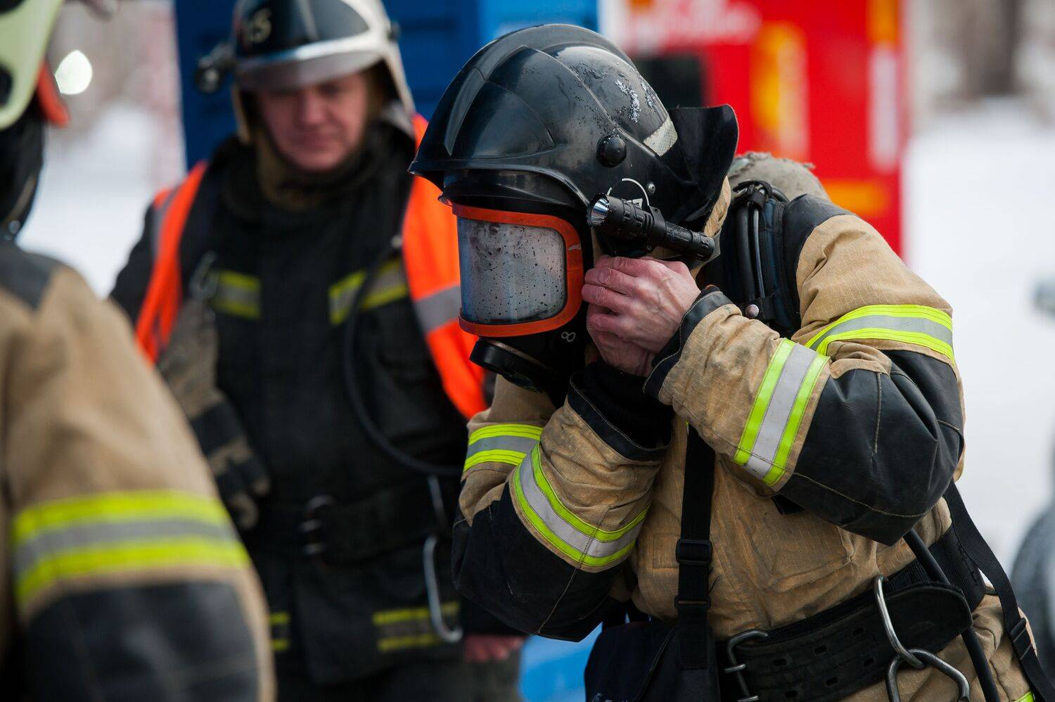 Фотография #13465048