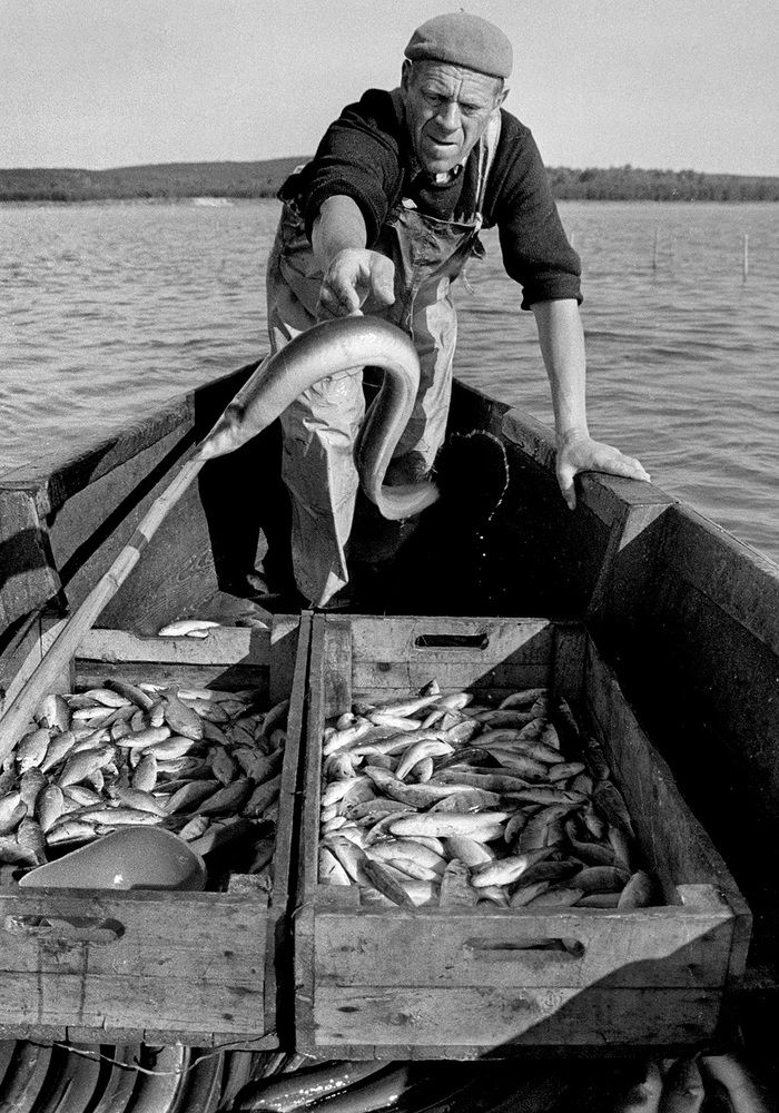 Photograph by Vytas Dara