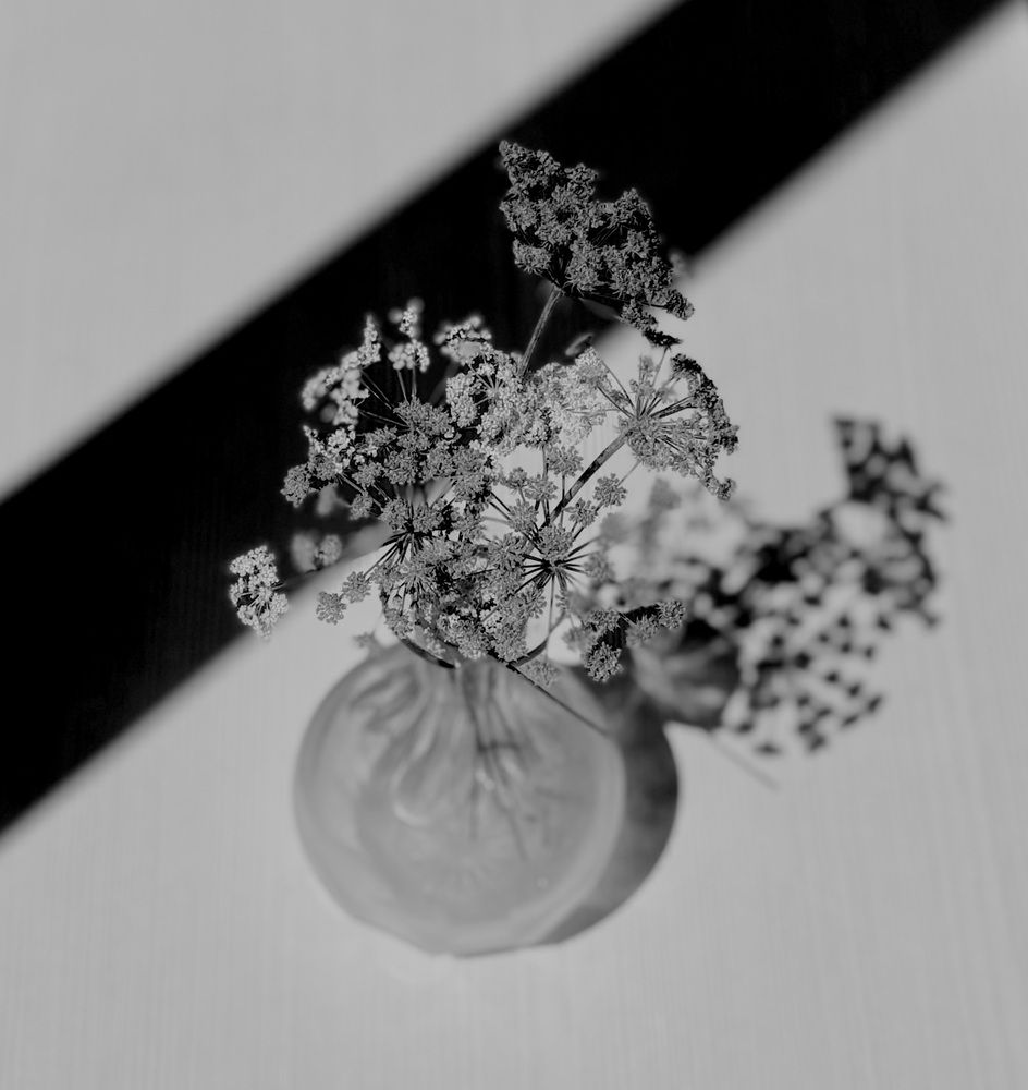 Фотография автора Гуляева Светлана