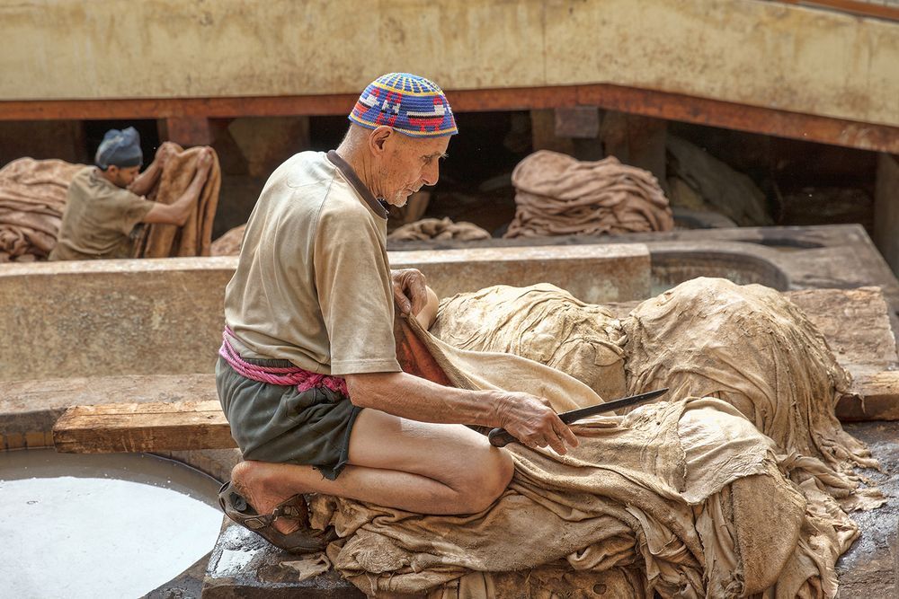 Photograph by MOHAMMED ALHAJRI