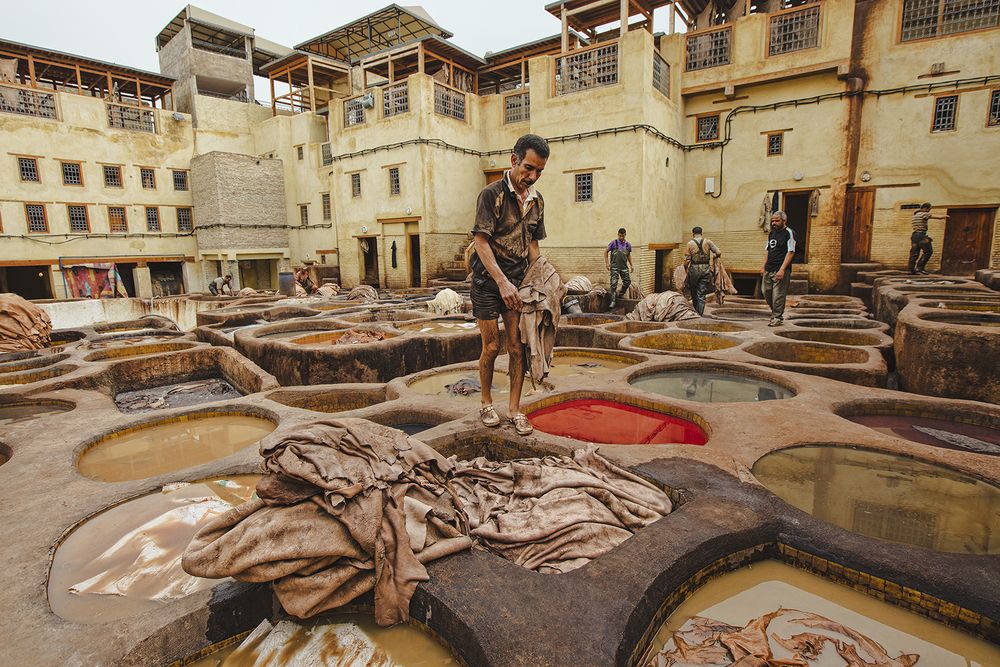 Photograph by MOHAMMED ALHAJRI