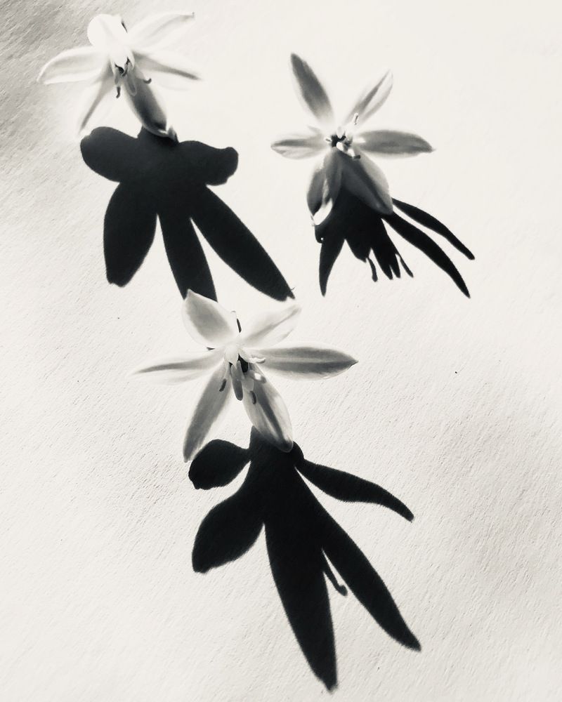 Photograph by Шаргородская Марина