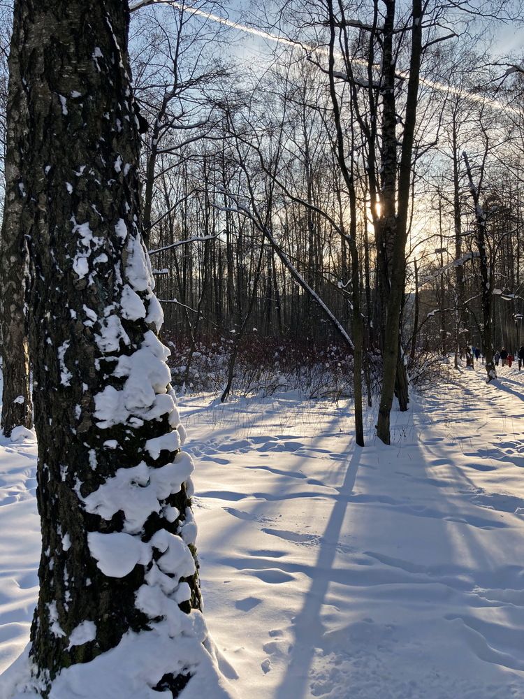 Февраль