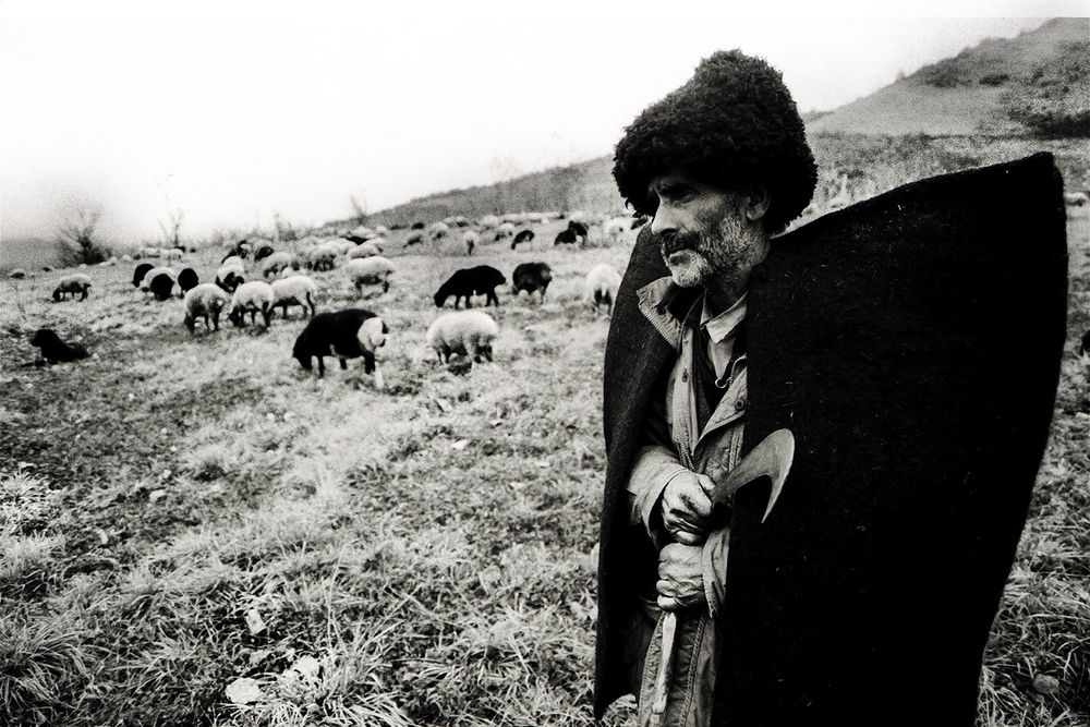 Фотография автора Mostafa Mohammad Beigi