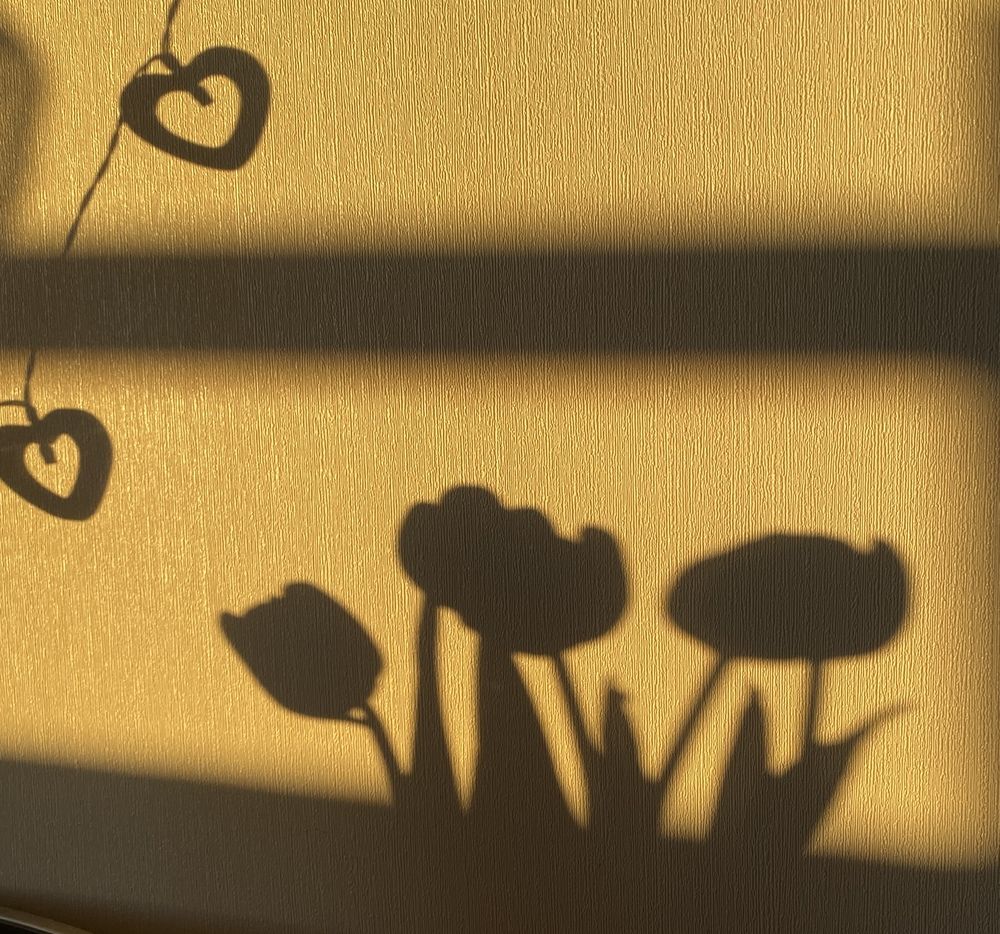 Photograph by kotka