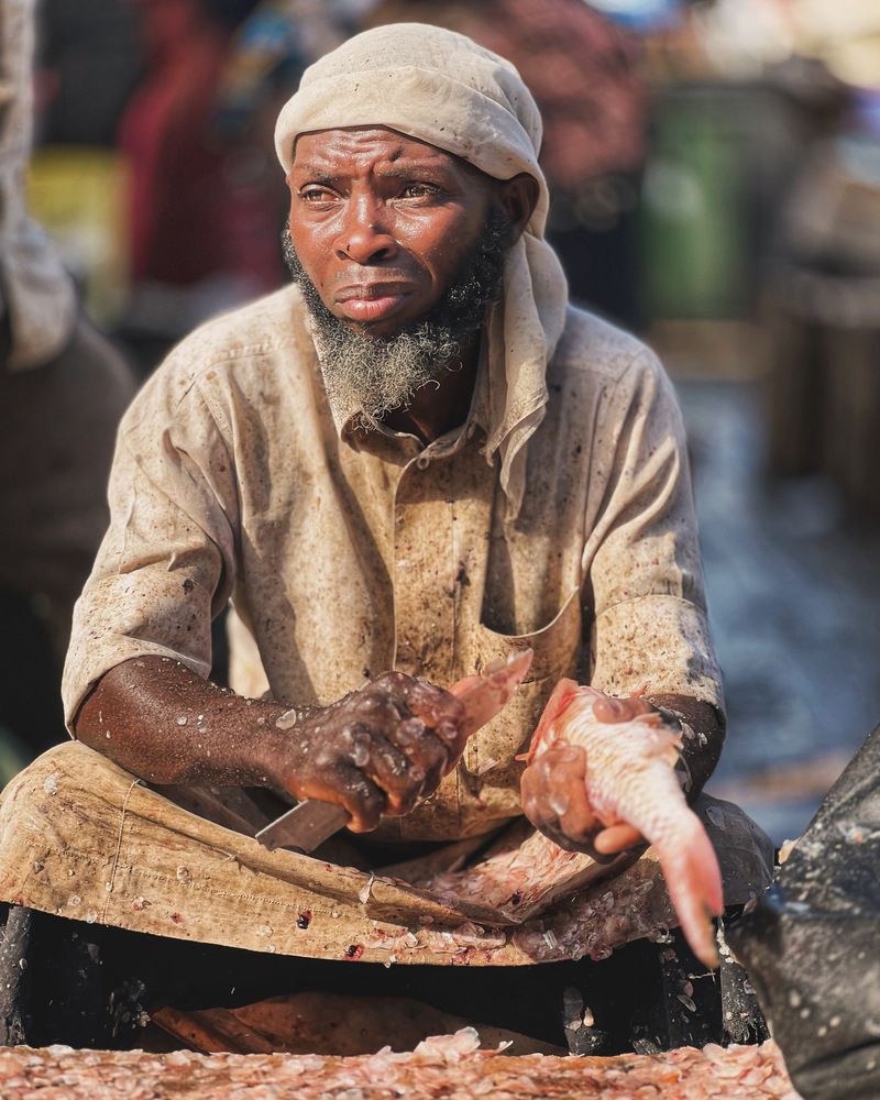 Фотография автора Dorota Nowakowska