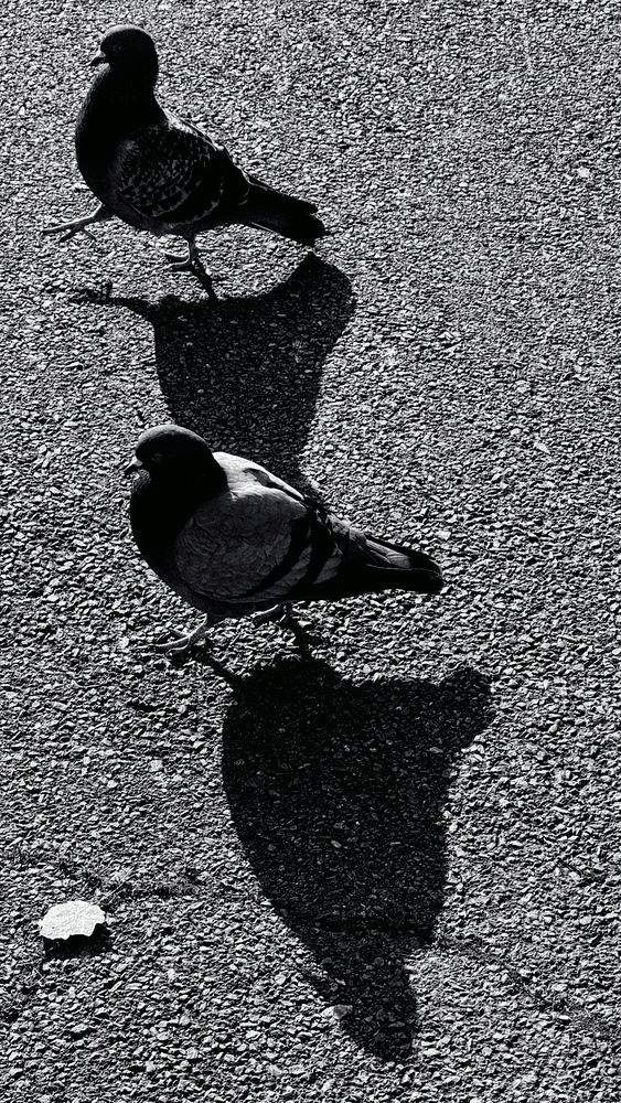 Photograph by Veska Saeva