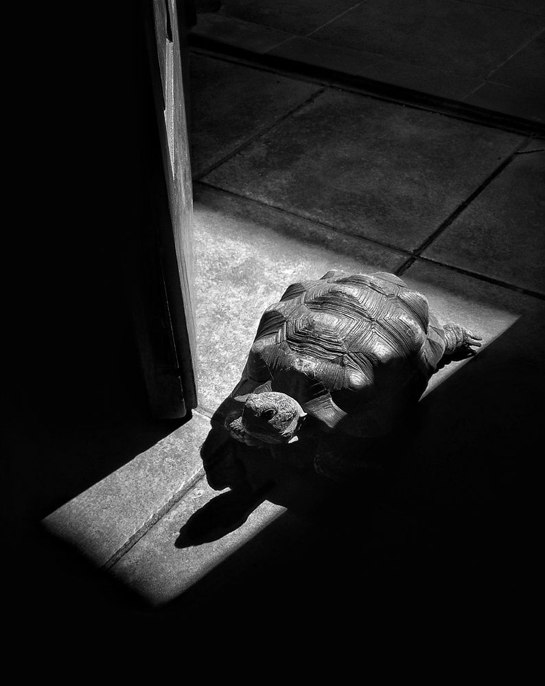 Photograph by Roberto Hagemann