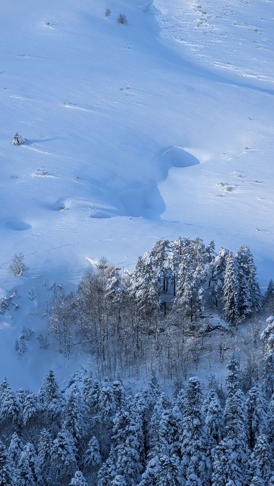 Photograph by Виталий Мартынов