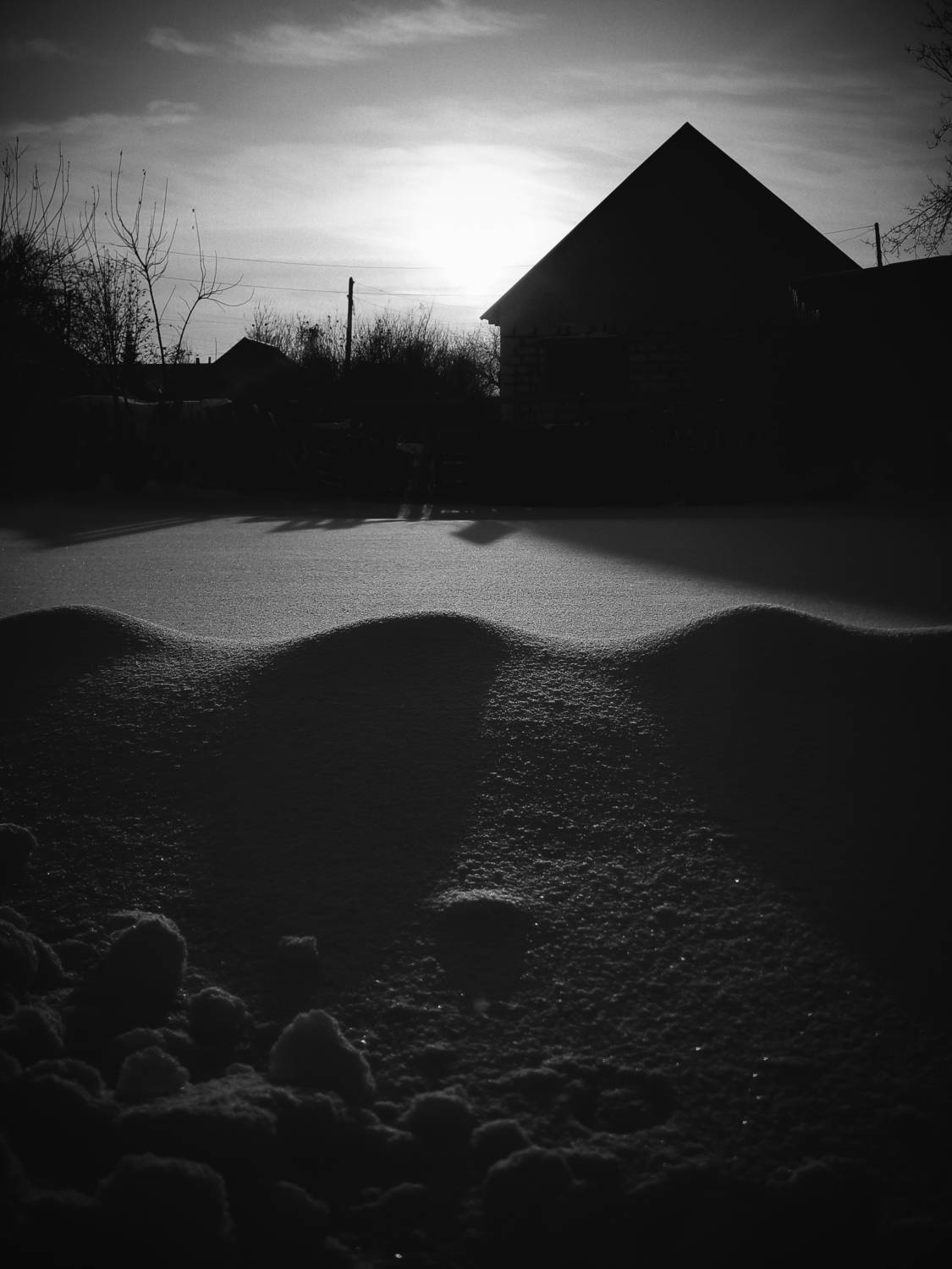 Photo #13465850