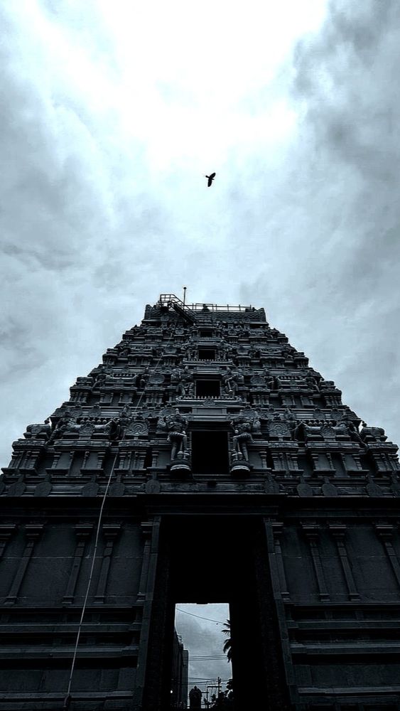 Photograph by Shan Kumaran