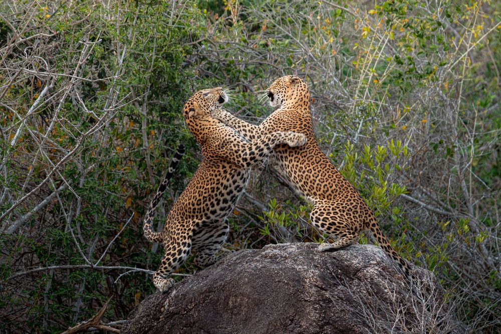 Dancing with my mom