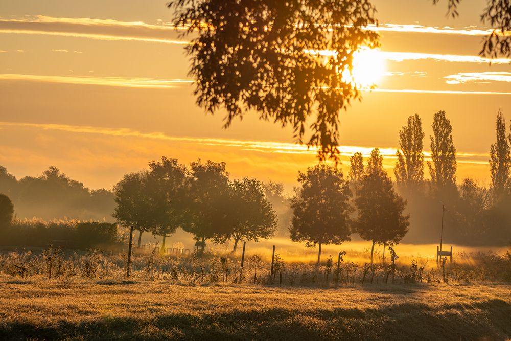 Gentle Embers of Dawn