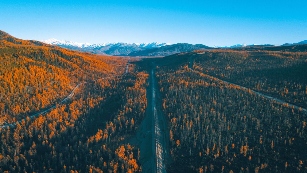 Photograph by Михаил Мархинин