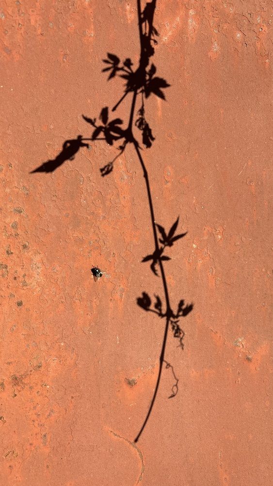 Photograph by Елена Гущина