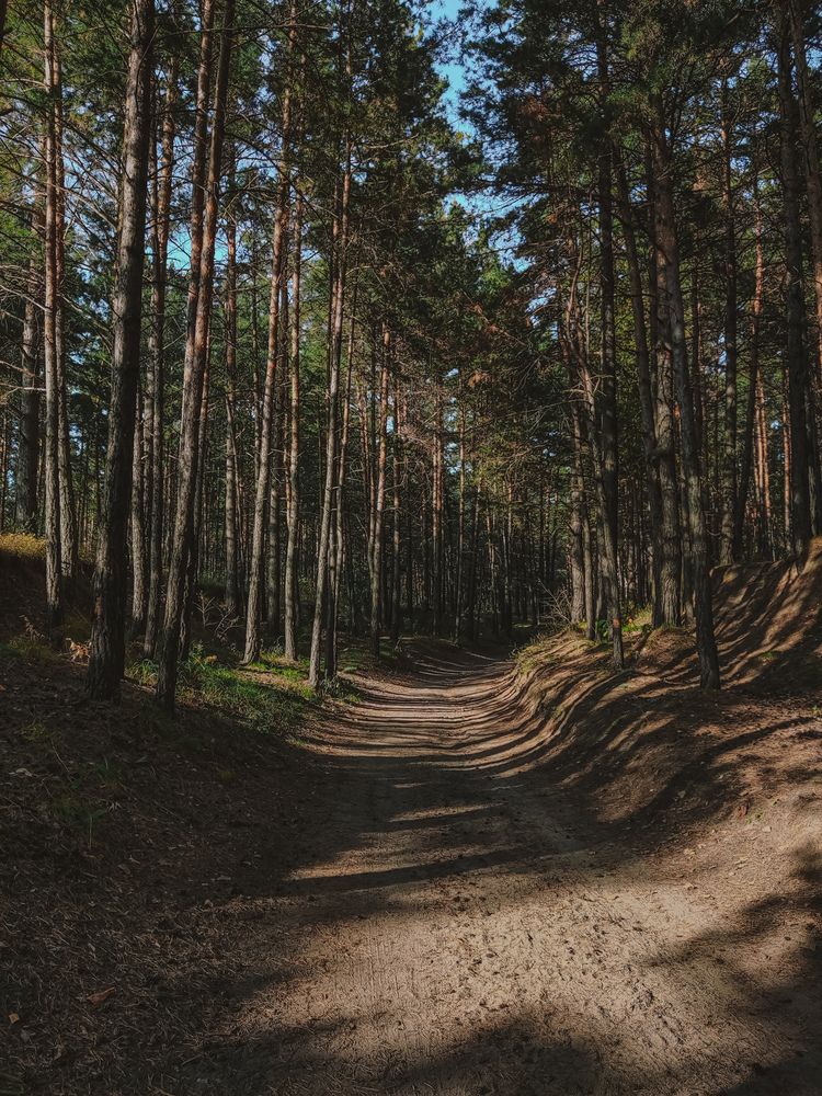 Photograph by Алина Плотникова