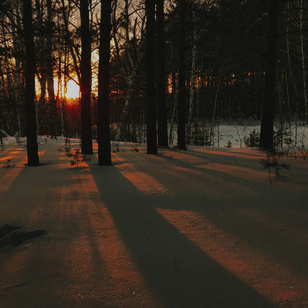 Photograph by Алина Плотникова