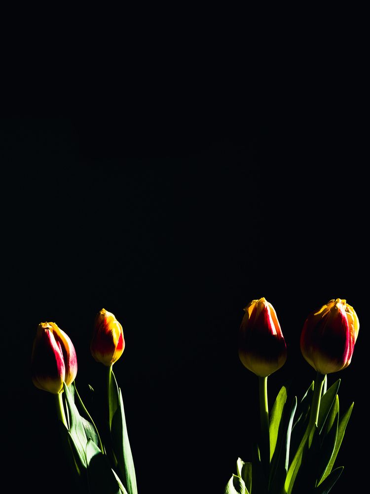 Photograph by Денис Нагайцев