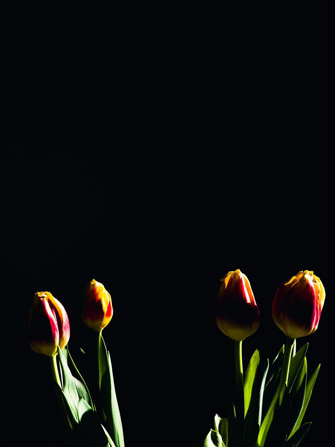 Photo #13465972