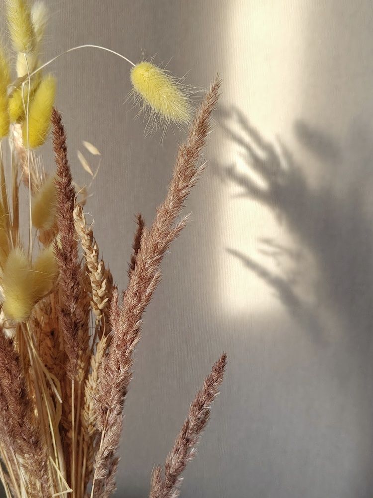 Photograph by Татьяна Зверева