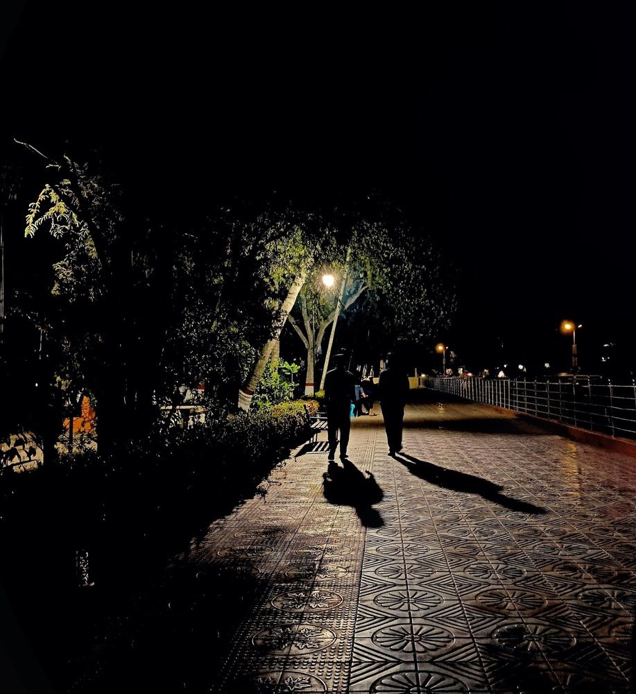 The Silent Echo of Shadows