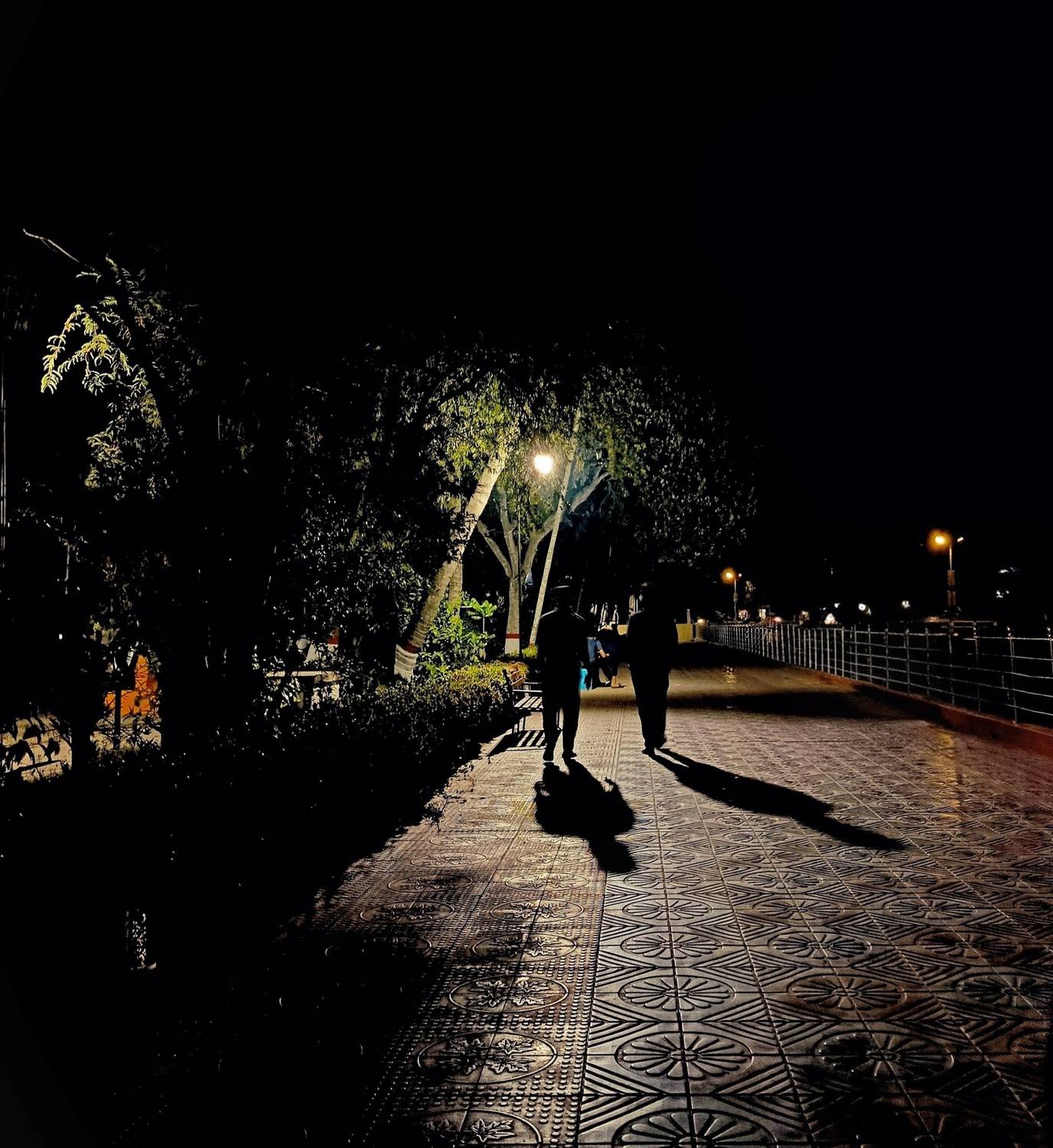 The Silent Echo of Shadows