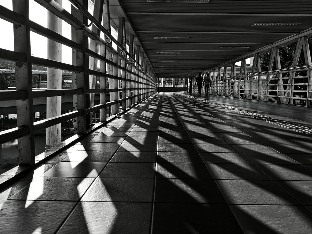 Photograph by Siew Chee chung