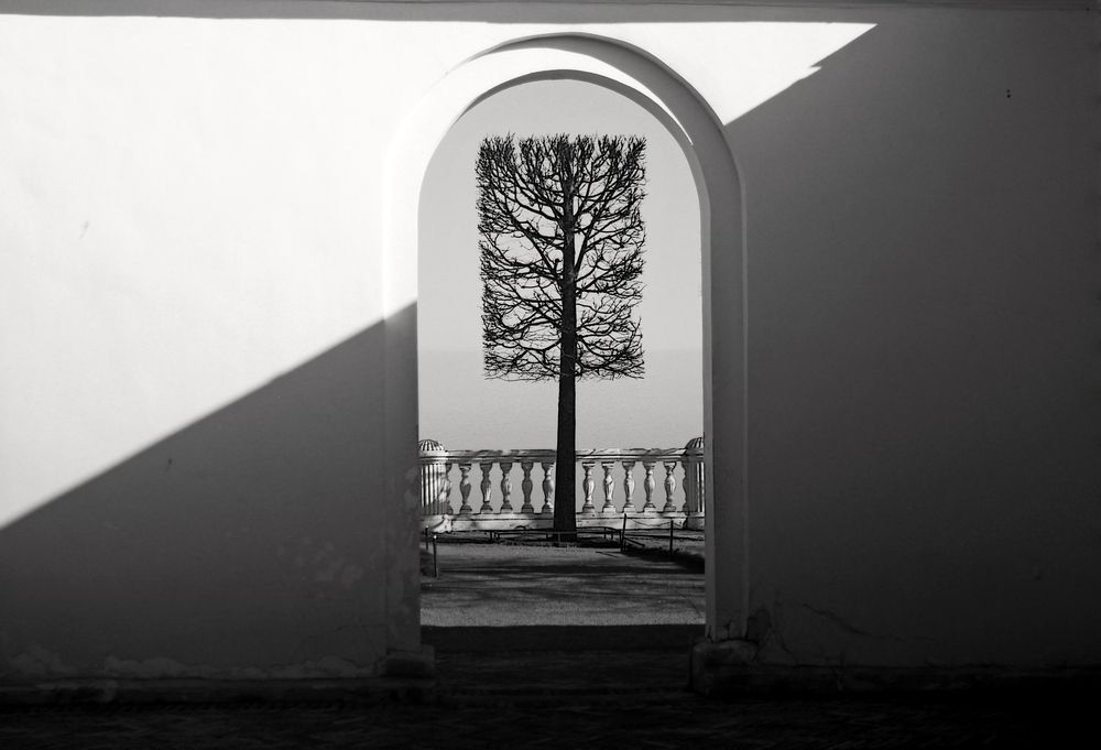 Photograph by Сергей Григорьев