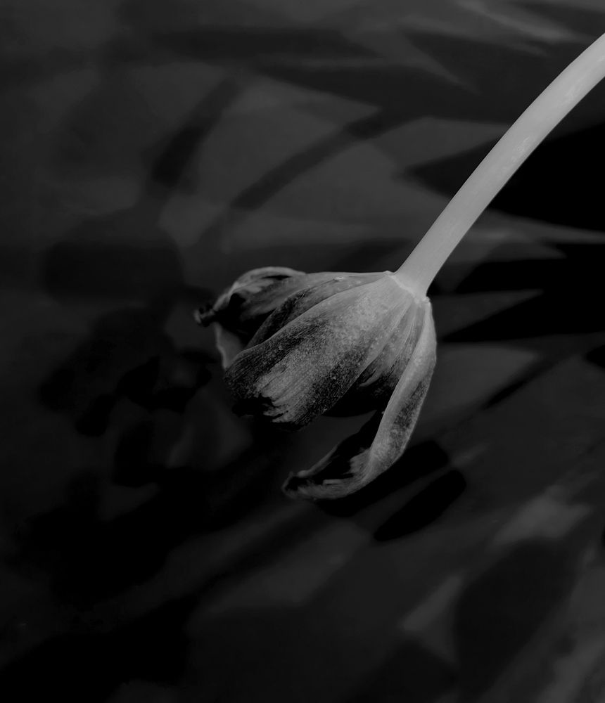 Photograph by Veranika Siratsinina