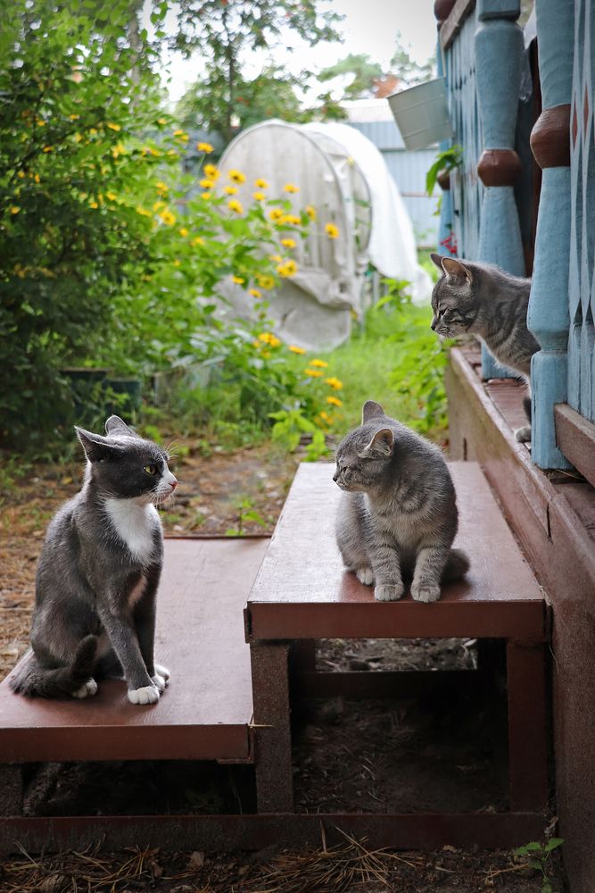 Photograph by Татьяна Елькина